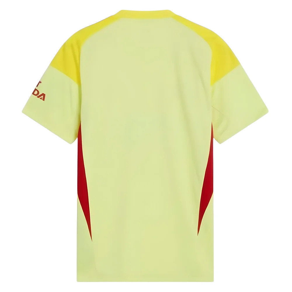 Arsenal 2025/26 Home Straight Fit Goalkeeper Jersey